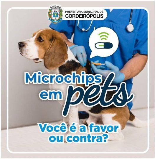 PARTICIPE: Consulta popular sobre microchipagem de cães e gatos em Cordeirópolis