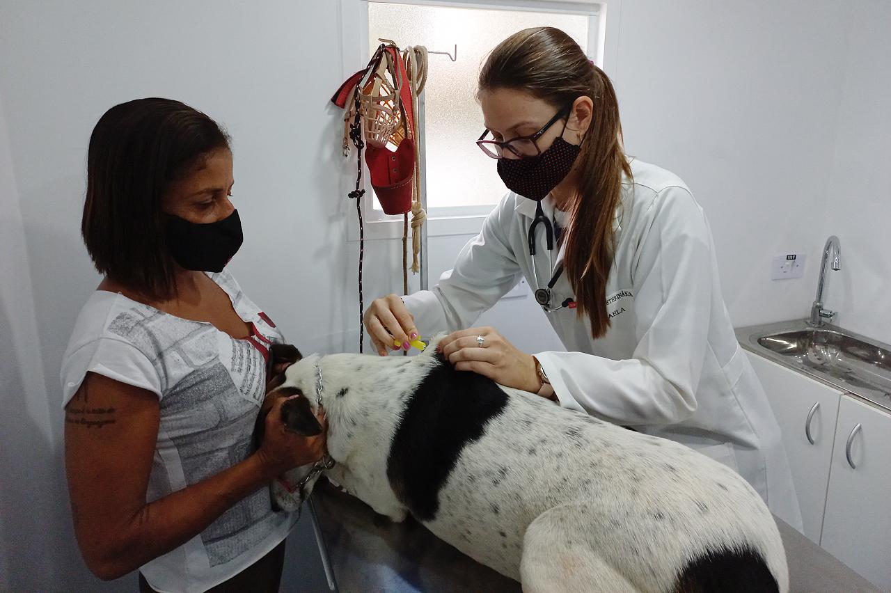 Bem-Estar Animal nos Bairros realiza 240 consultas veterinárias no Jd. Aeroporto em Limeira