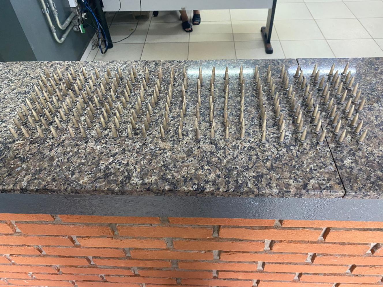 GCM apreende 828 pinos de cocaína no Pq. Hipólito em Limeira