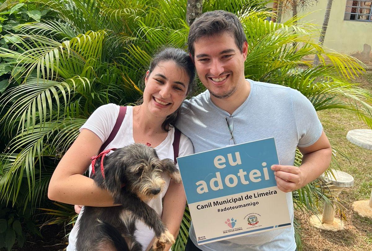 Evento de adoção de animais recebe 23 famílias; 12 animais foram adotados
