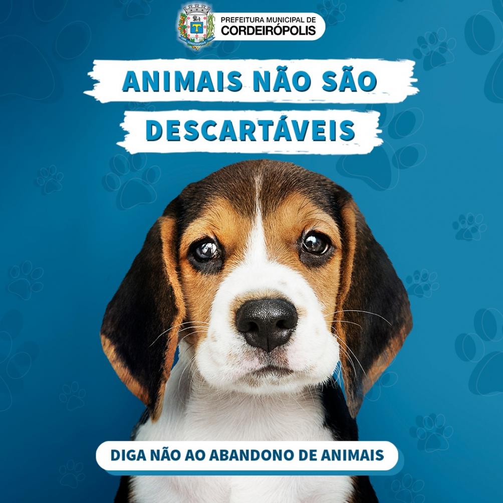 Animais NÃO são descartáveis!