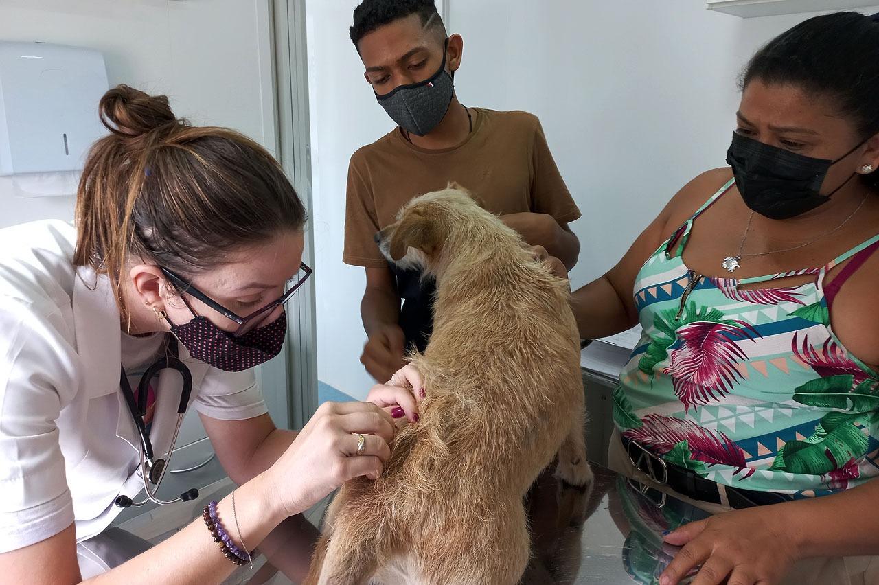 Bem-estar Animal no Bairro atende população da Cecap em Limeira