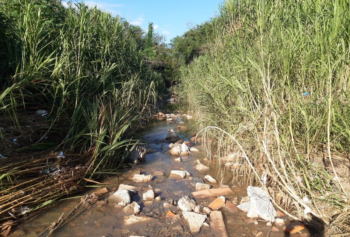 Homem é autuado por crime ambiental em Limeira