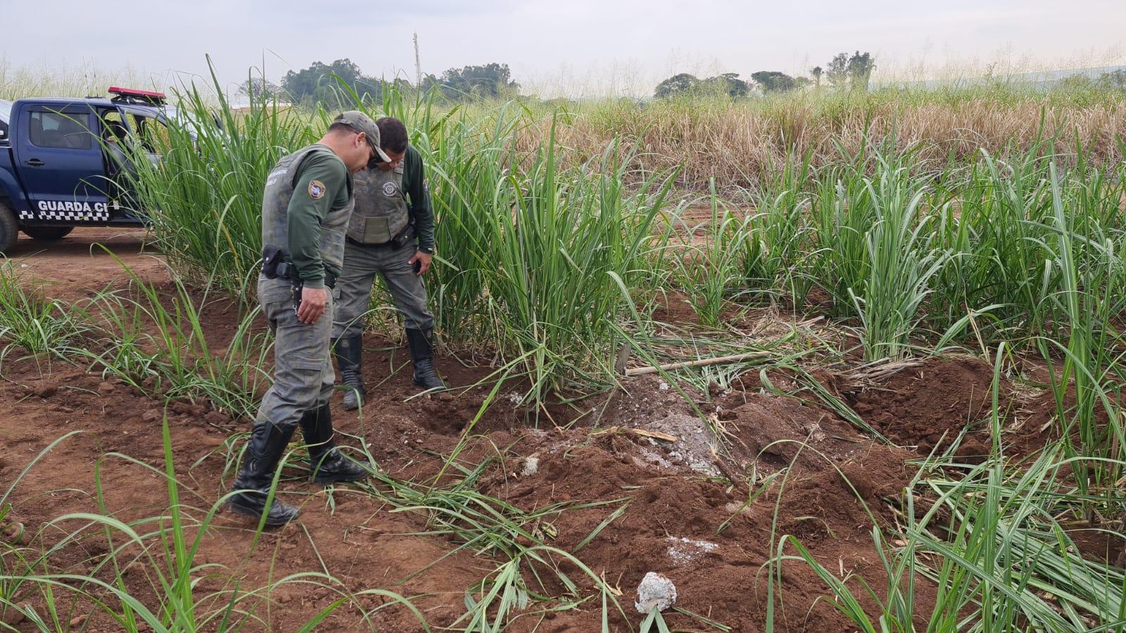 Suposta ossada humana é localizada em Limeira