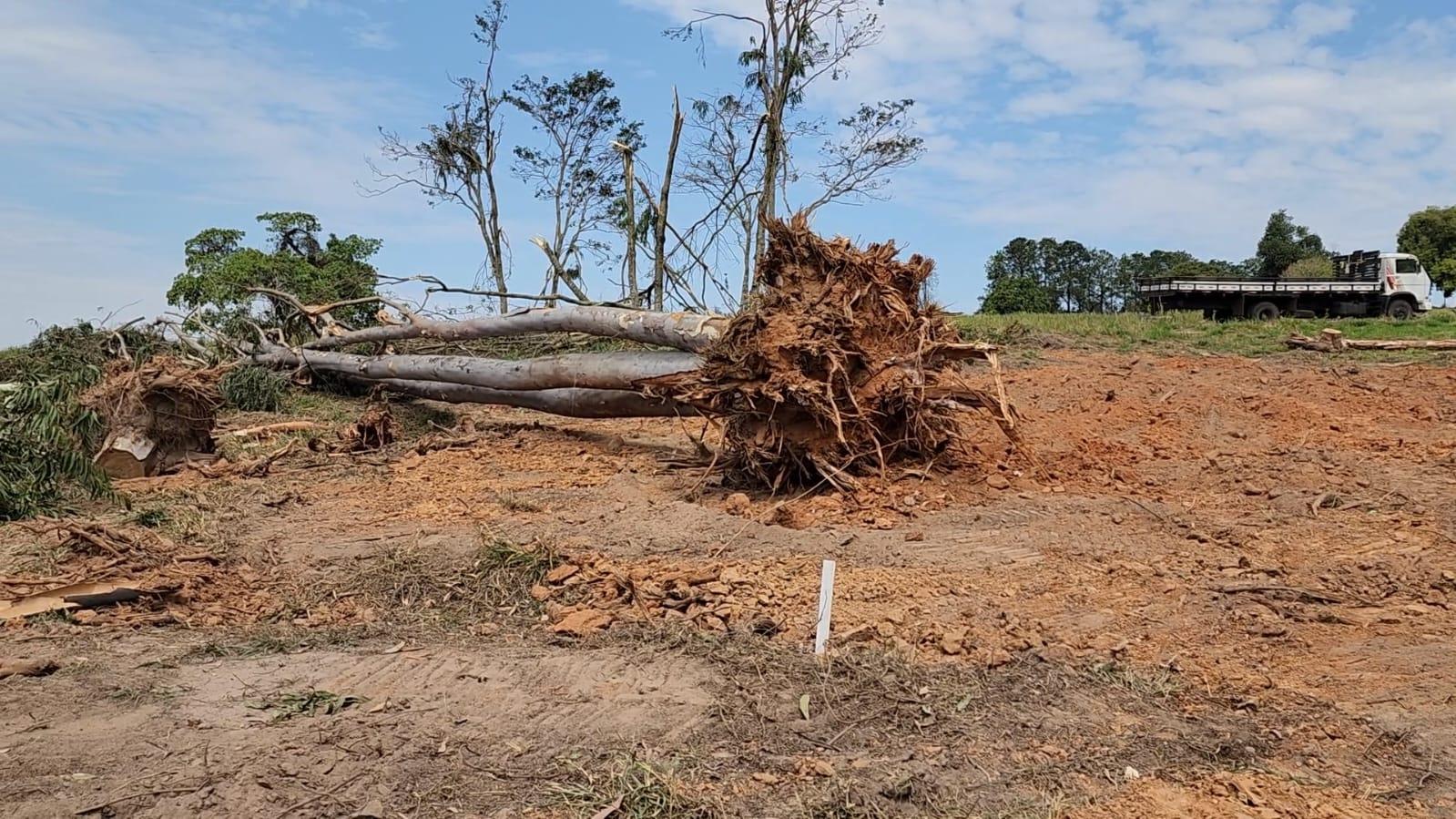 Pelotão Ambiental flagra crime ambiental em área no Bairro dos Pires, em Limeira
