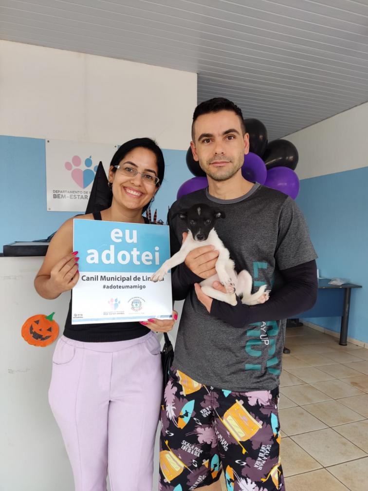 Evento de adoção de animais em Limeira recebe 83 pessoas