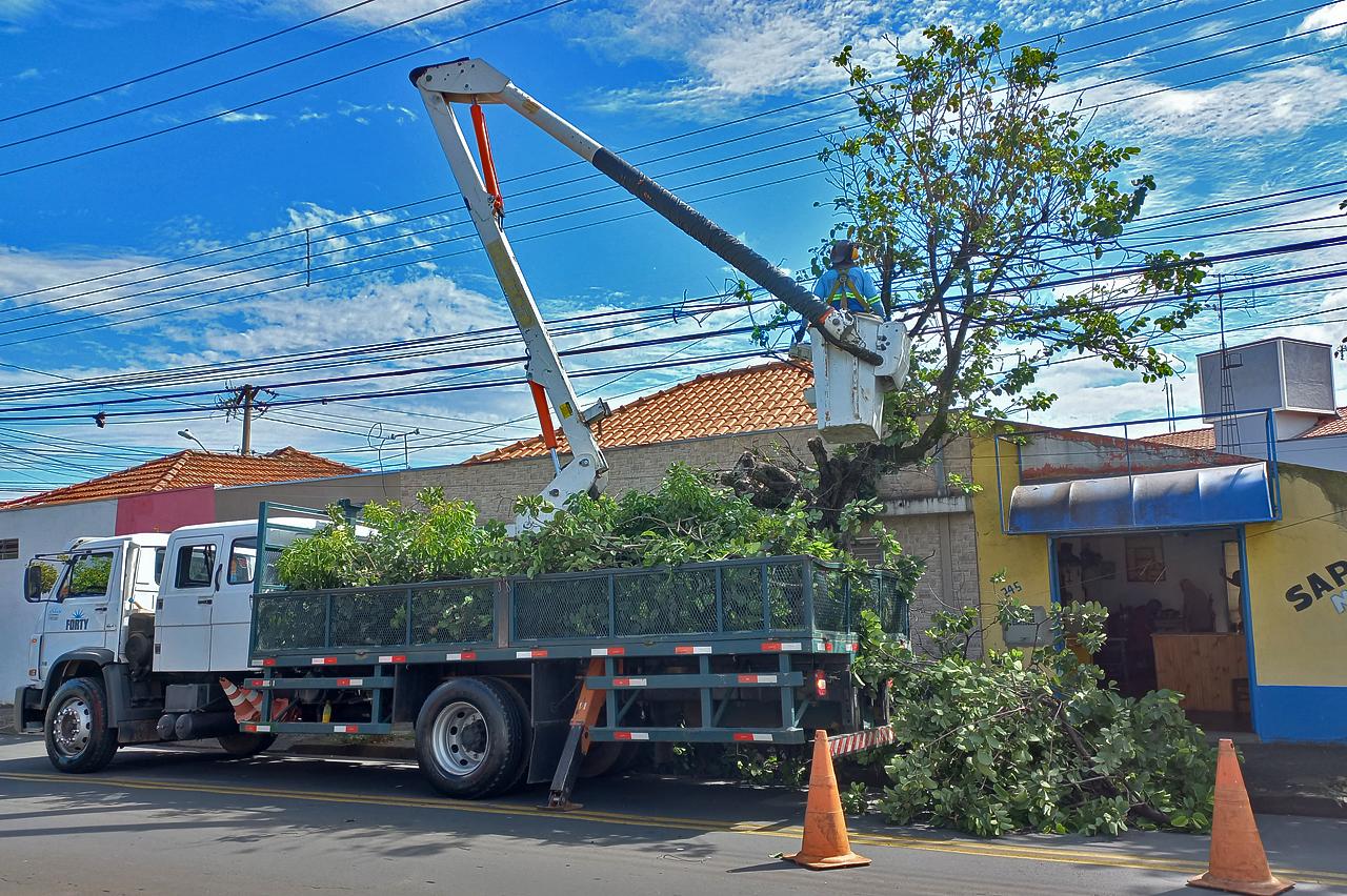 Prefeitura de Limeira realiza rebaixamento da copa de árvores