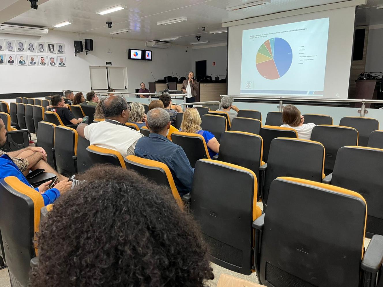 Audiência pública reúne setor cultural limeirense
