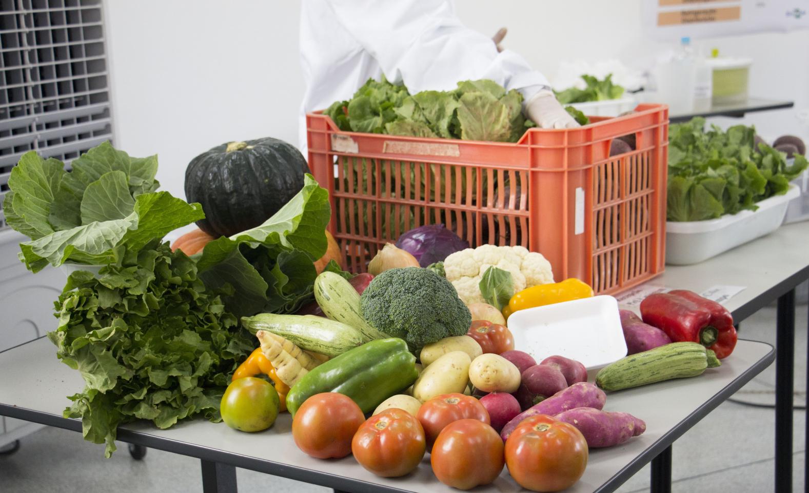  Tecnologias da Embrapa são apresentadas na Região Metropolitana de Sorocaba