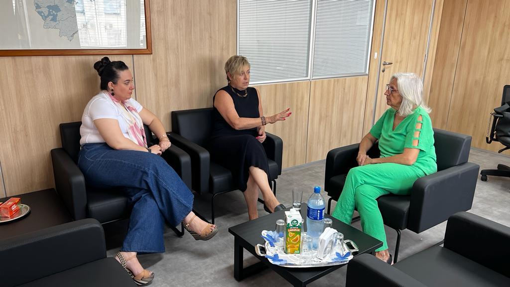 Vice-prefeita de Limeira se reúne com superintendente de ministério para discutir proteção à mulher 