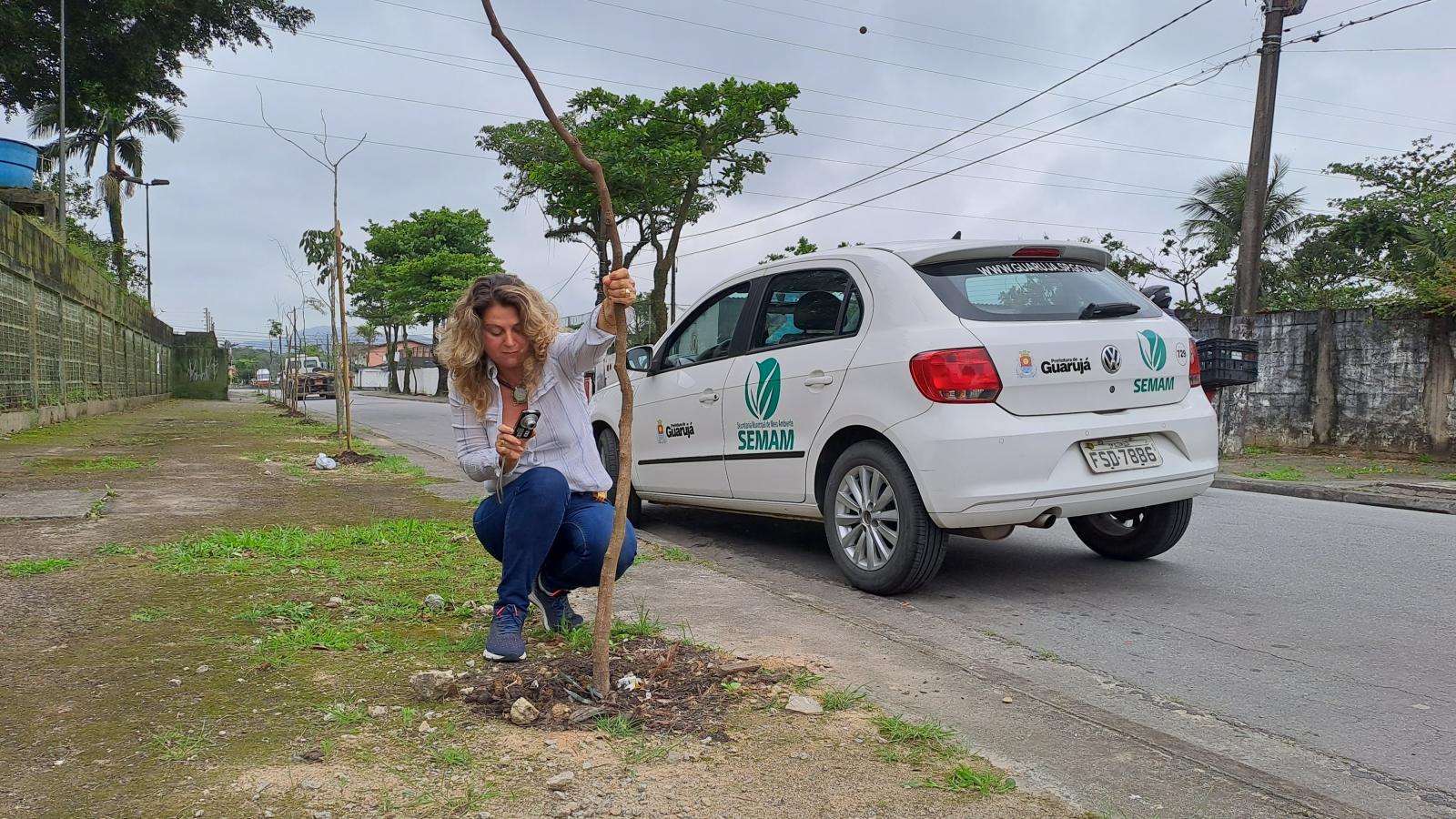 Guarujá planta 1,4 mil árvores e planeja ações para aprimorar qualidade do ar