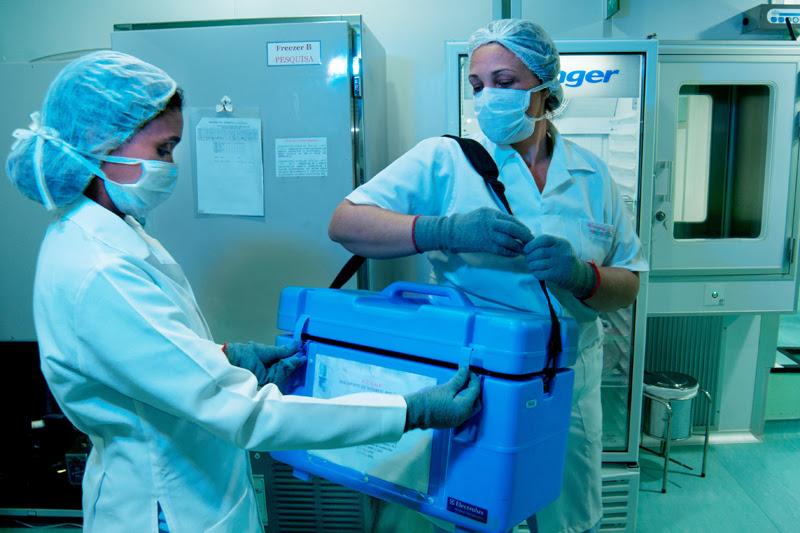 São Paulo realizou mais de 2 mil transplantes entre janeiro e setembro de 2023