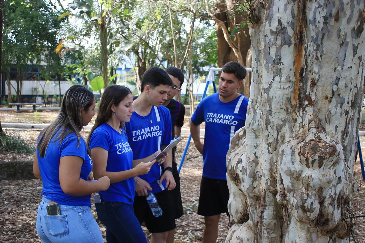 Quase mil mudas são doadas em setembro durante o Mês da Árvore