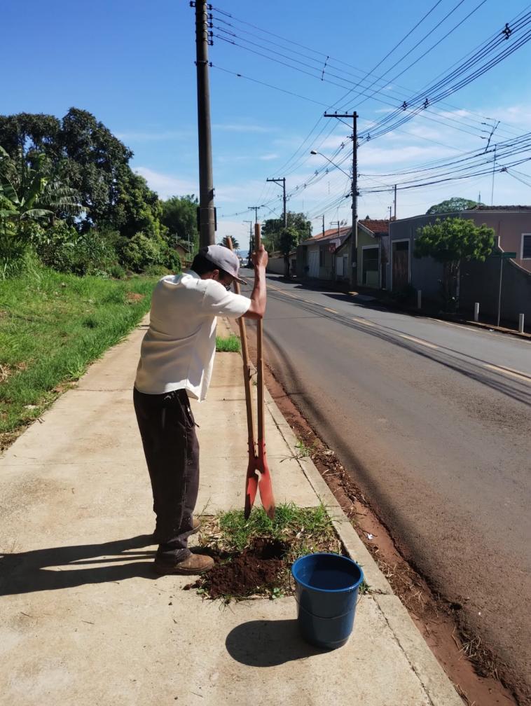 Arborização Urbana contribui para a diminuição do aquecimento Global