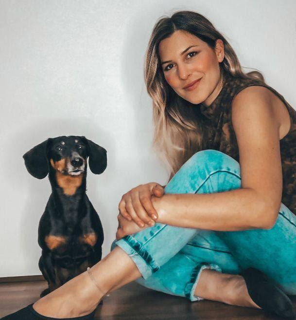  PETS NAS COMEMORAÇÕES: Mitos e verdades sobre os cuidados com os animais nas festas de ano novo