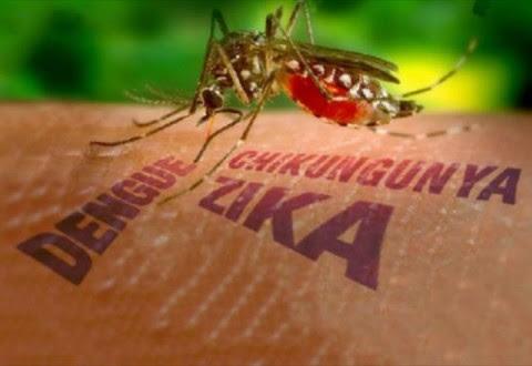  Identificação de Covid-19, Dengue, Zika e Chikungunya: Como Diferenciar os Sintomas?