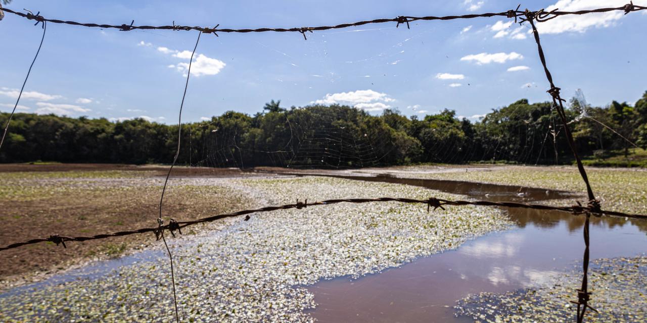 Represa Tabajara, que contribui com o abastecimento de água de Limeira, segue assoreada