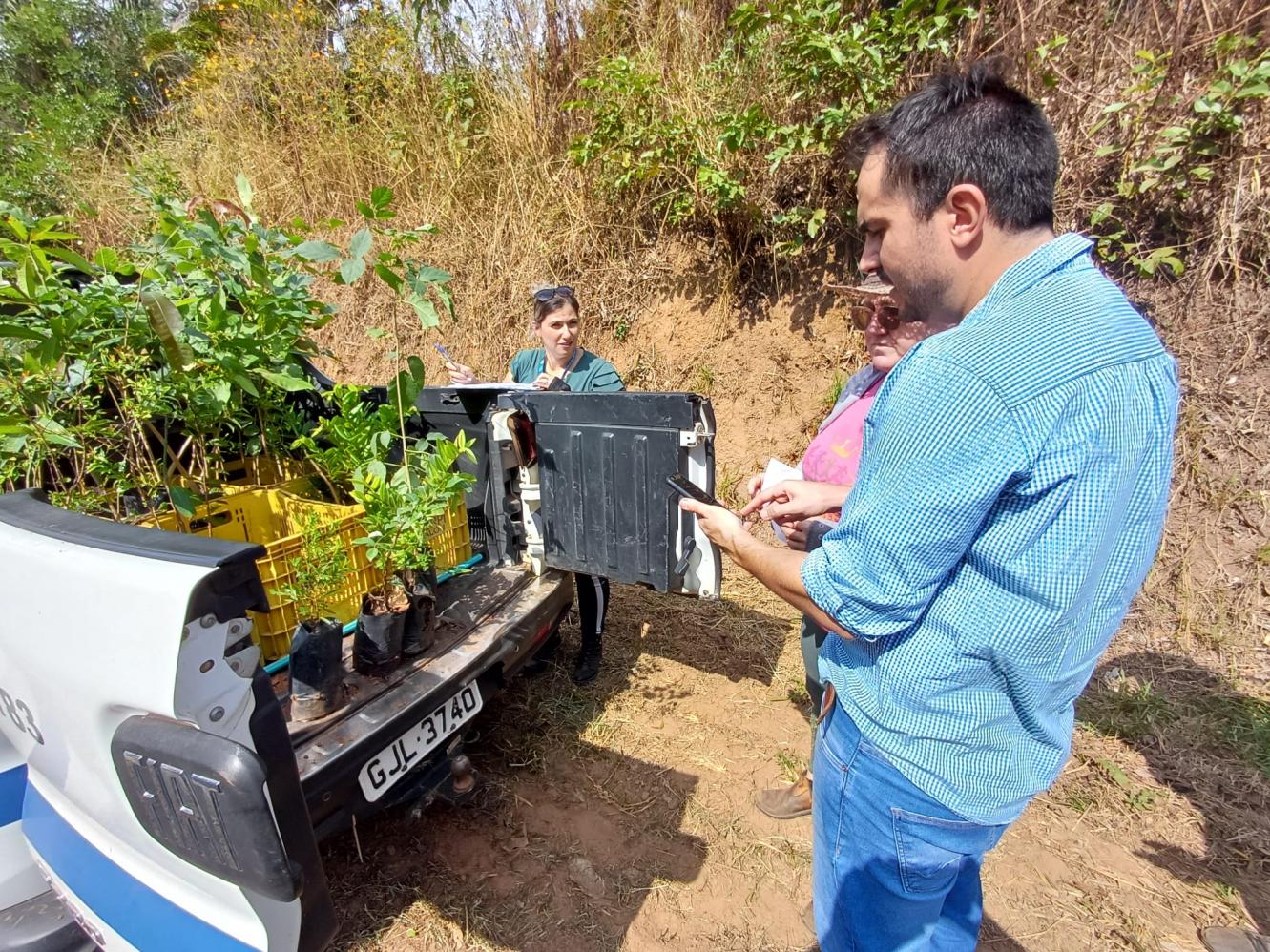 Limeira intensifica campanha de prevenção e combate ao greening, principal doença dos citros