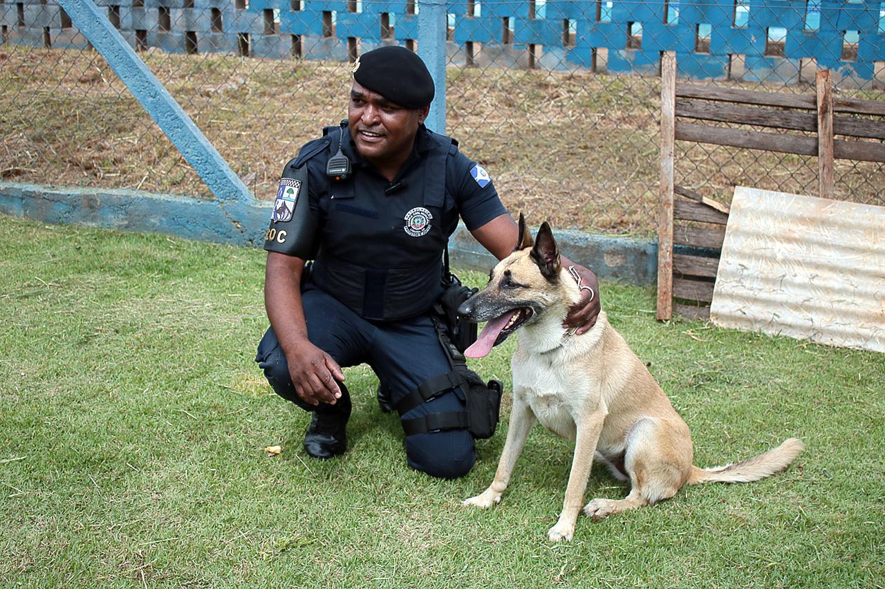 Parque Cidade em Limeira recebe campeonato de cães farejadores