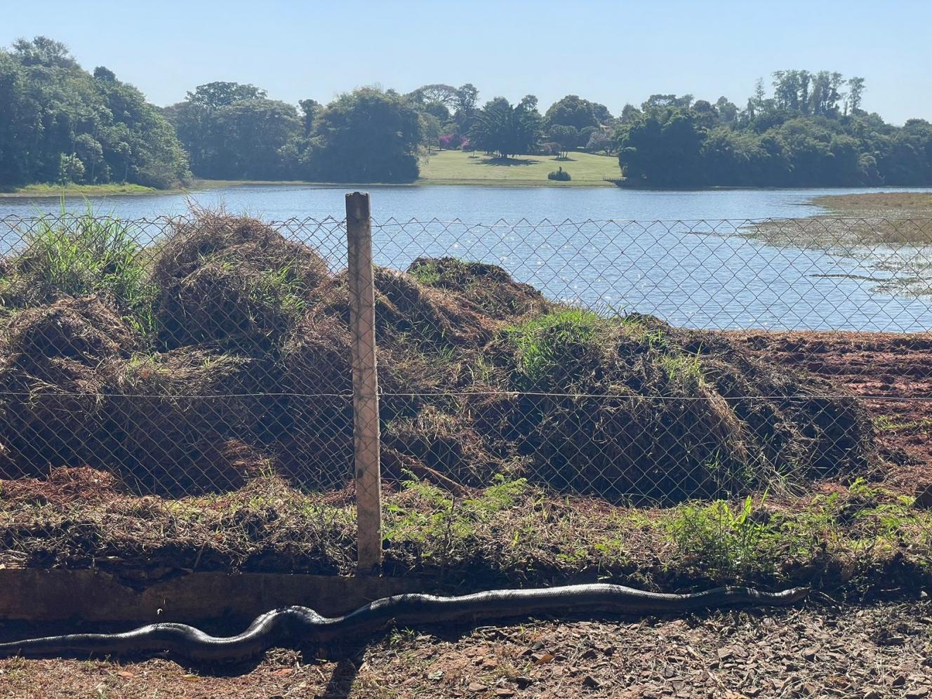 Sucuri é encontrada as margens de represa em Cordeirópolis