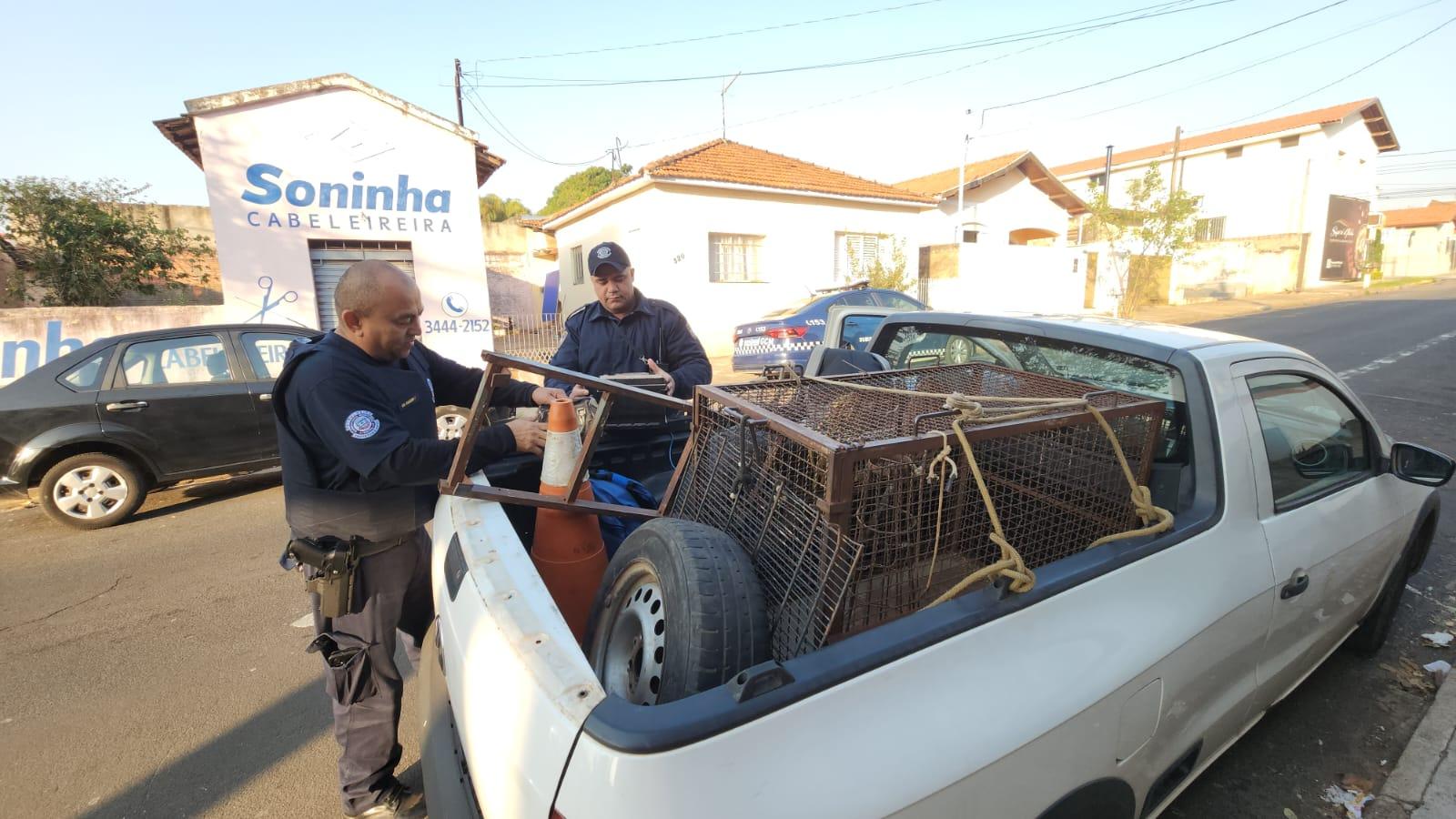 Homem é preso em flagrante furtando objetos no Centro de Zoonoses em Limeira