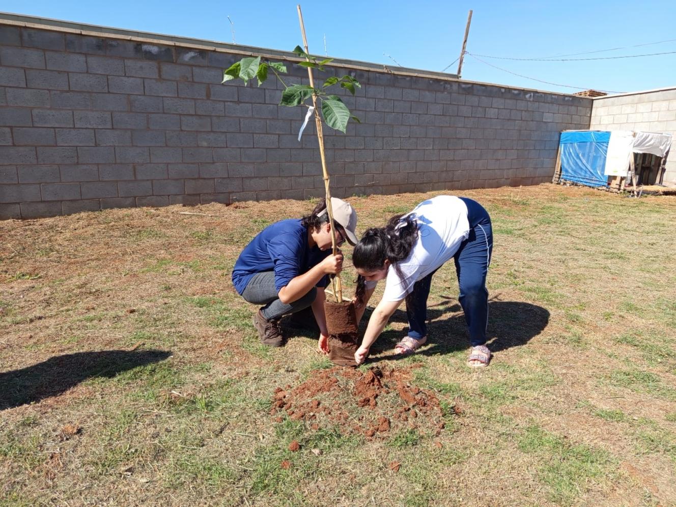 CAP em Cordeirópolis promove conscientização ambiental através do plantio de Ipês e Frutíferas 