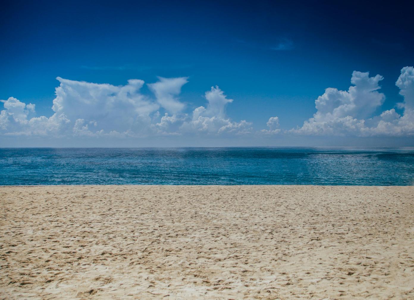 Programa Mar sem Lixo fecha 2024 com 32 toneladas de materiais tiradas do oceano e manguezais no estado de SP