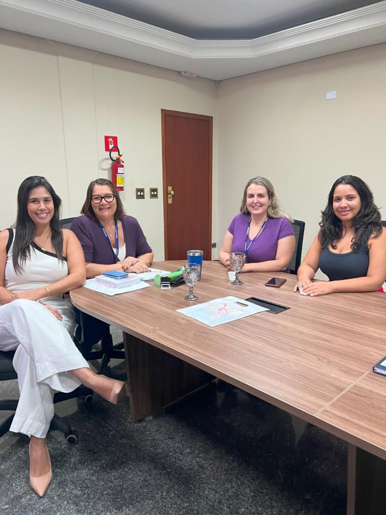 Reunião em Limeira discute prevenção à violência contra a mulher