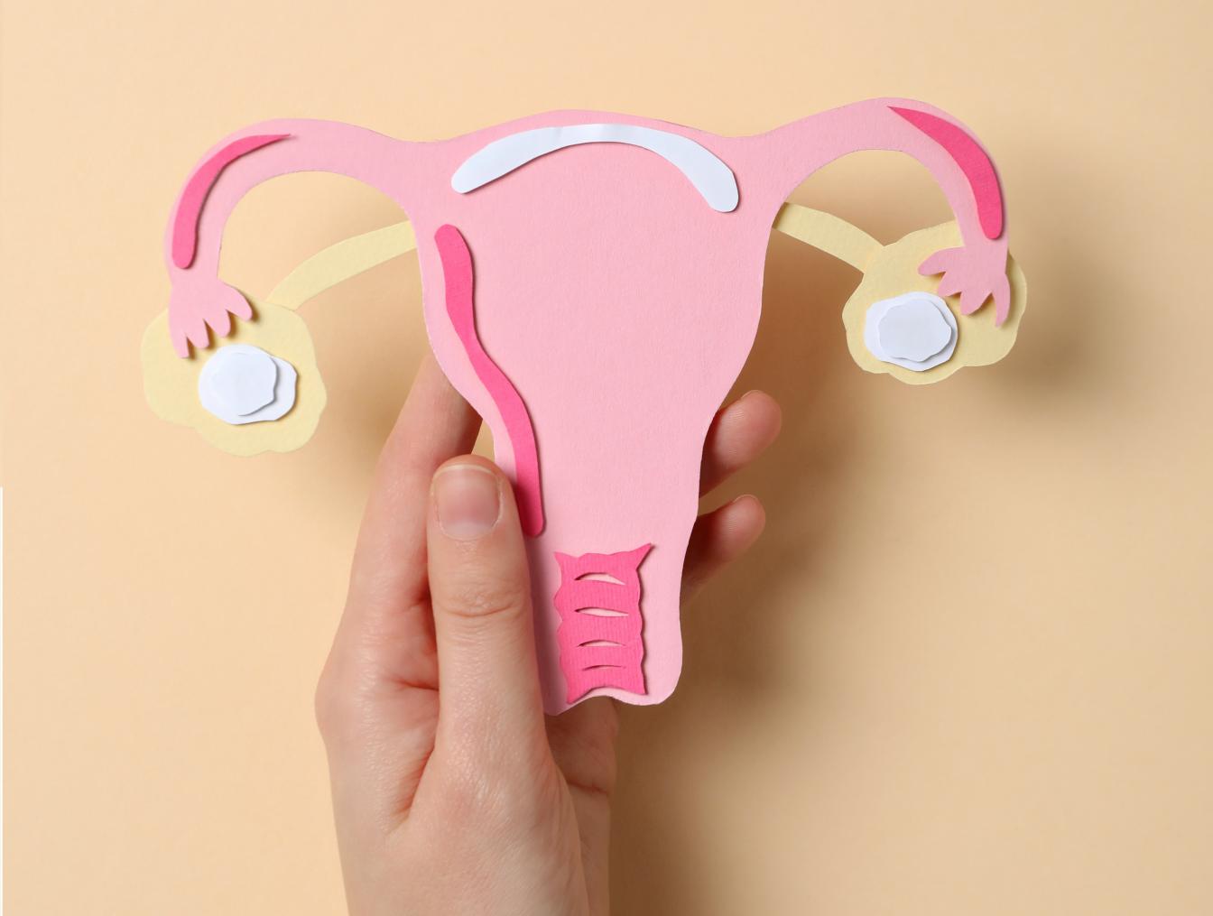 Endometriose e fertilidade: como cuidar da saúde pode ajudar quem quer engravidar