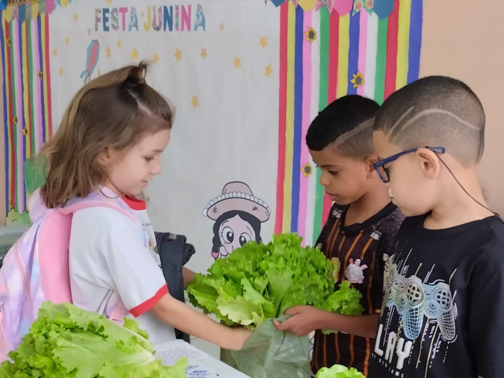 Crianças cultivam hortaliças e realizam feira em Centro Infantil em Limeira