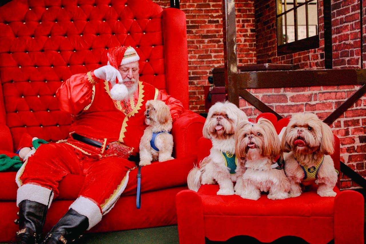 Chegada do Papai Noel terá “neve” e diversão no Limeira Shopping