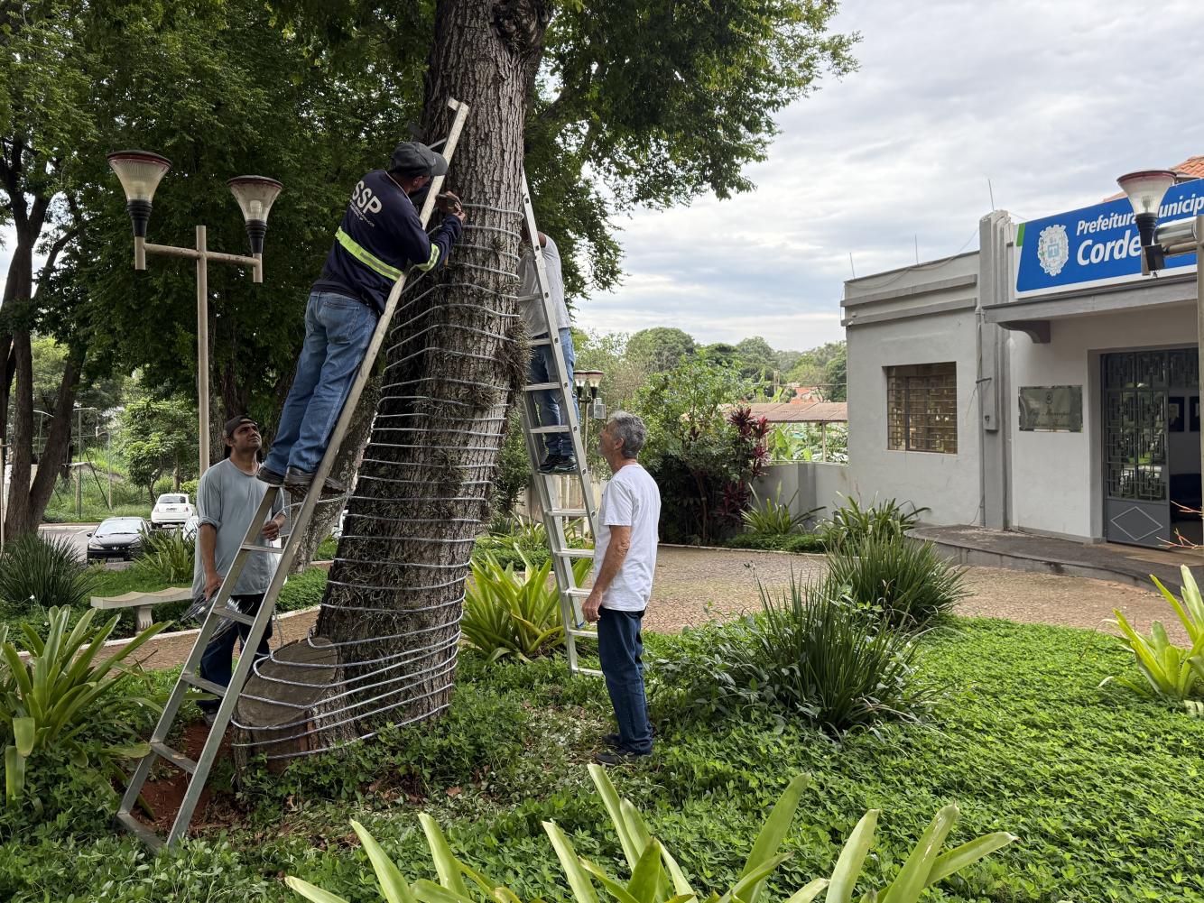 Natal Iluminado em Cordeirópolis terá shows, luzes e chegada do Papai Noel