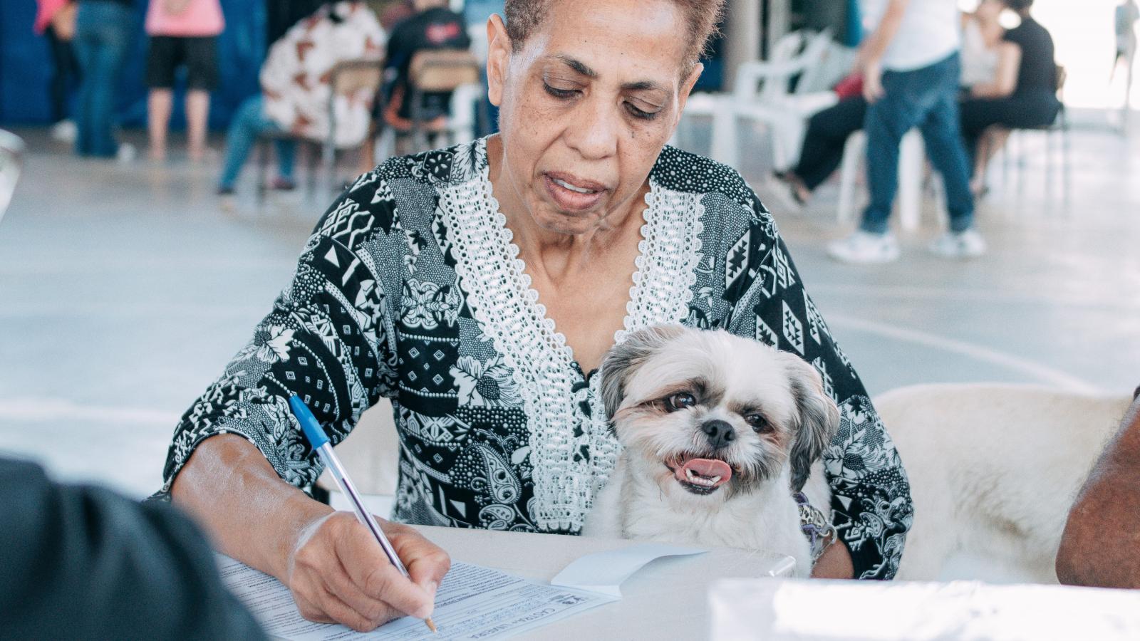 Programa Castra + Limeira atende mais de 3,6 mil animais em 2025