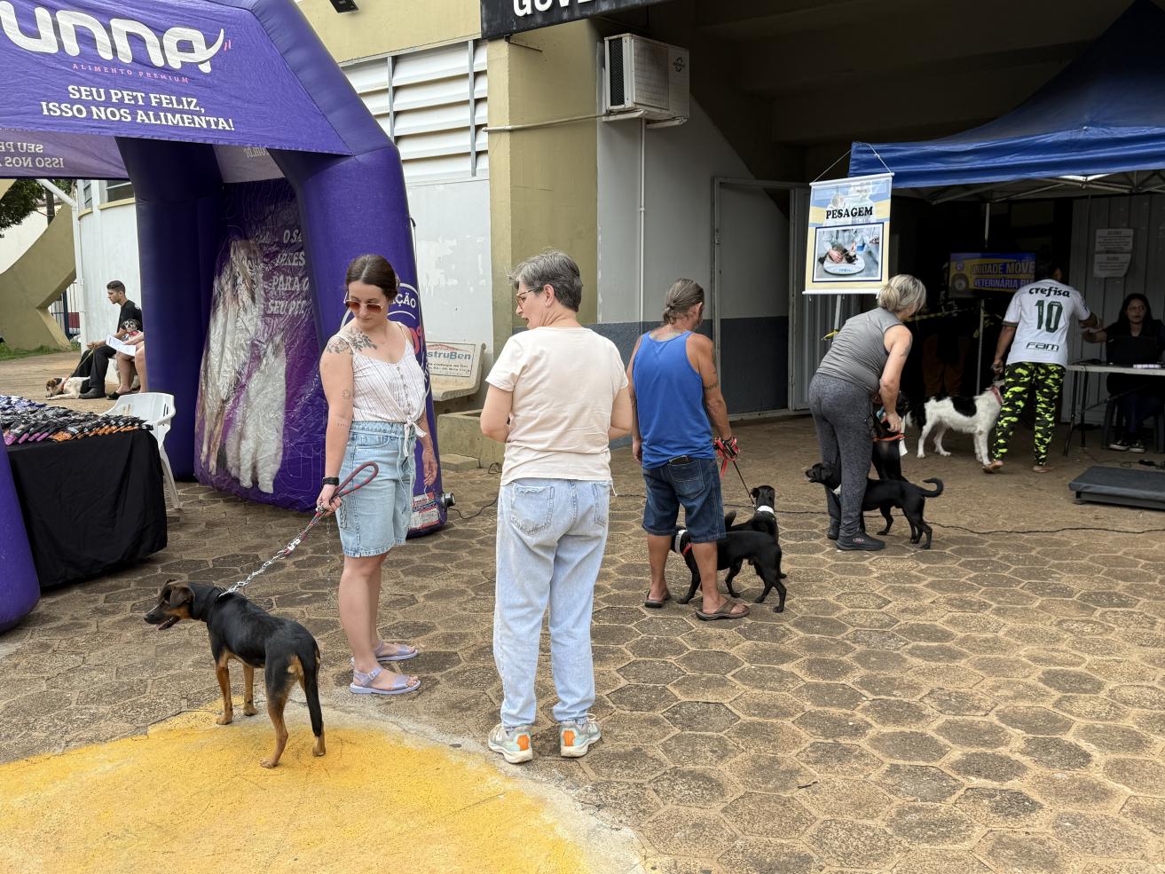 Cordeirópolis recebe ação de castração gratuita nos dias 5 e 6 de fevereiro