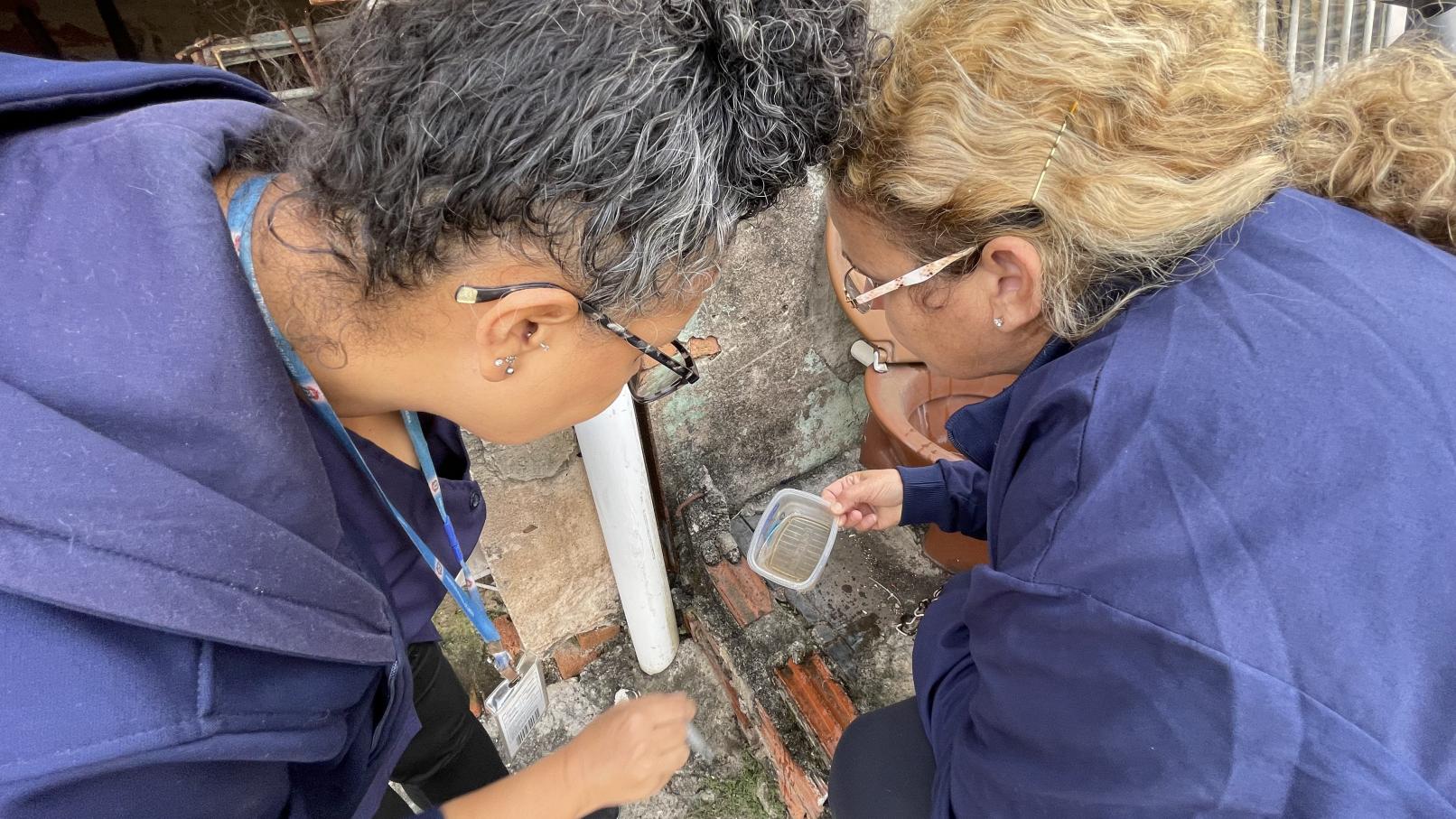 Mutirão de combate à dengue identifica 897 criadouros em Limeira